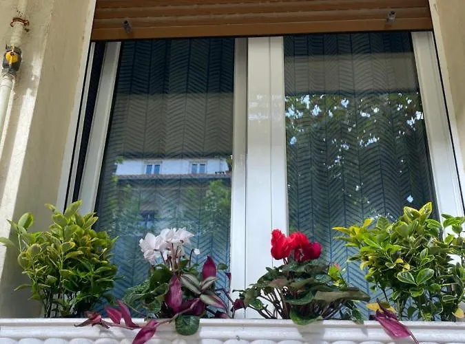 Apartment Rio Deba Gardens *