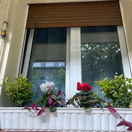 Apartment Rio Deba Gardens *